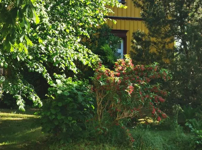 Sommerhaus Seidel - Mit Kostenlosem Parkplatz -